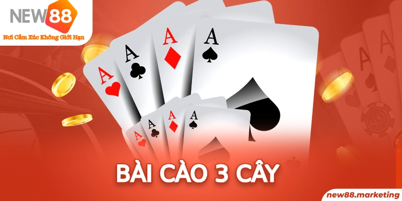 bản đồ sao cá nhân