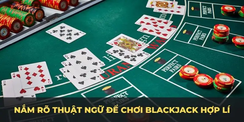 hot51 live c1 gà chọi