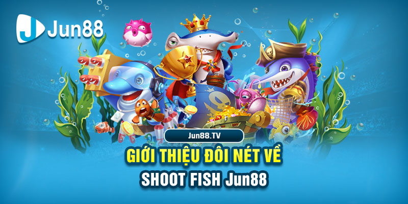 hot51 live đá gà