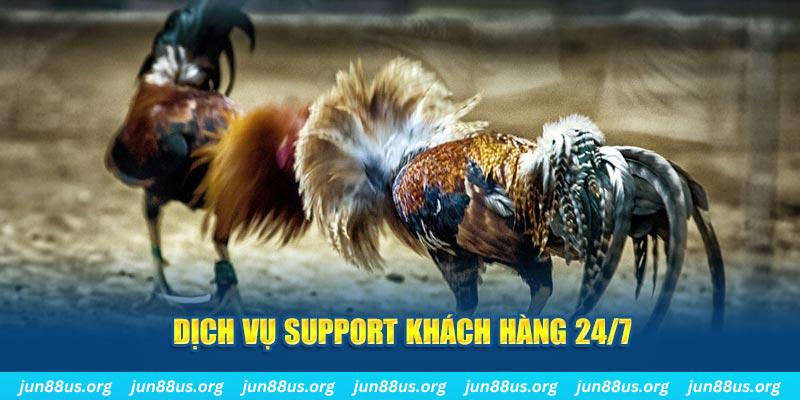 hot51 live ÁT CHỦ BÀI GIÀNH LẤY ZHUANG NIUNIU ( XEM 4 LÁ )