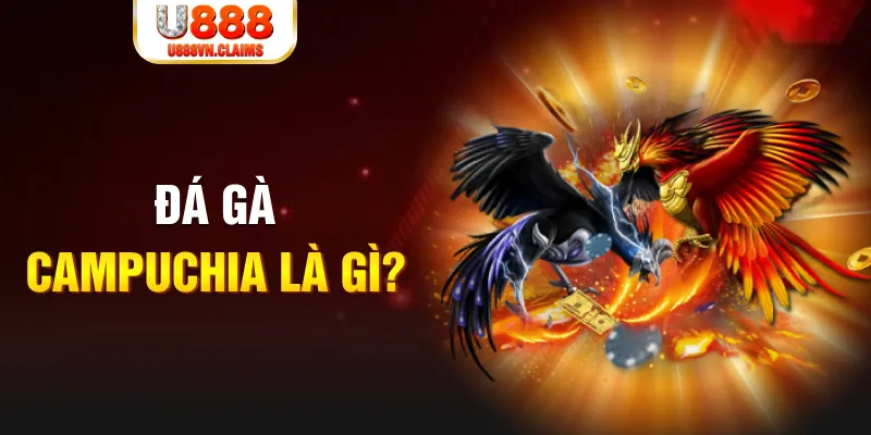 hot51 live bắn cá vàng h5