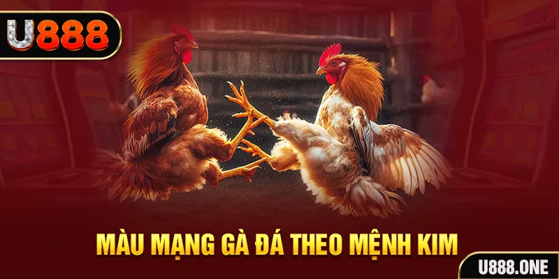 hot51 live Cỡ bảy