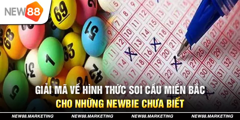 hot51 live xổ số tây ninh