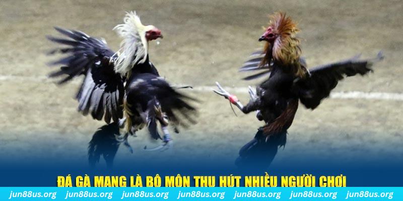 hot51 live bắn cá au88