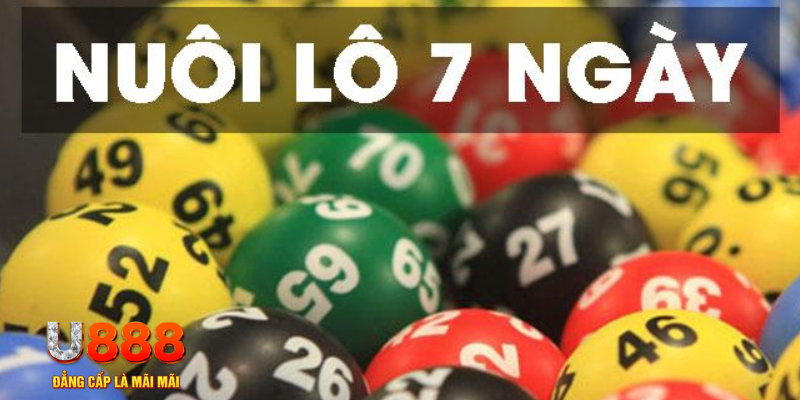 hot51 live what are slot machines