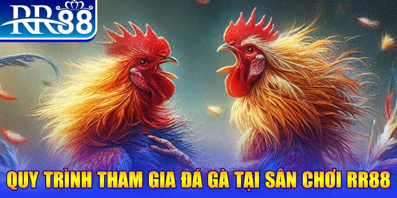 hot51 live đá gà cam 67