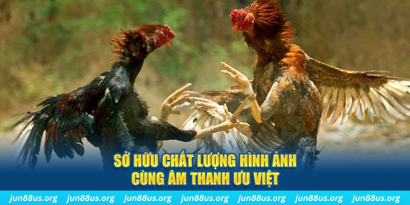 hot51 live PP Điện Tử