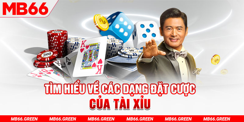 hot51 live what is a virtual casino