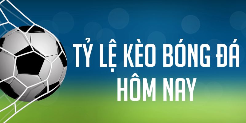 hot51 live gà chọi c1 mới nhất