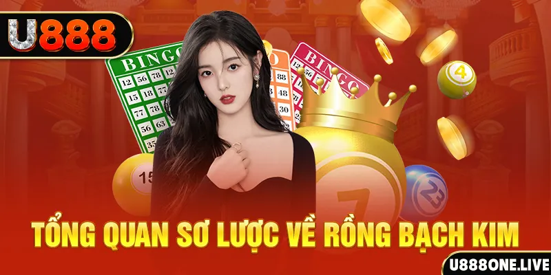 hot51 live hũ 8 bit nổ như thế nào