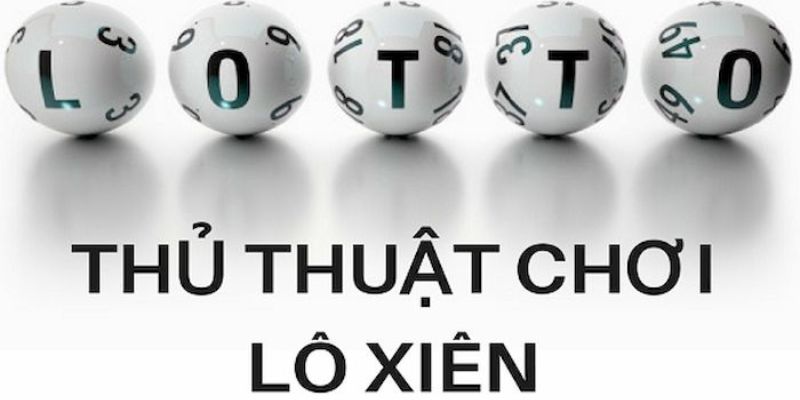 hot51 live trực tiếp đá gà thomo