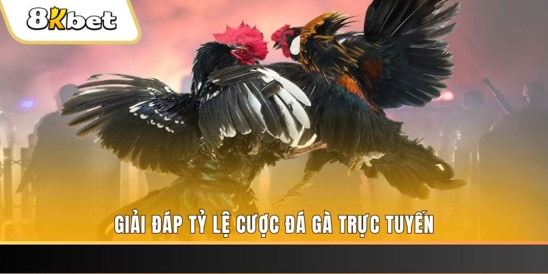 hot51 live xổ số đài miền trung