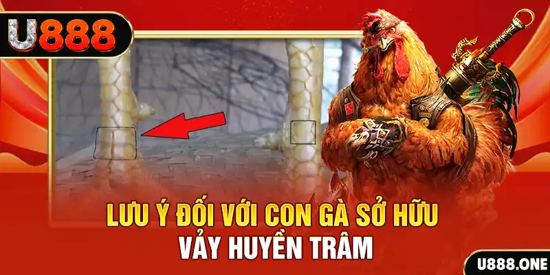 hot51 live kết quả xổ số miền nam hôm nay