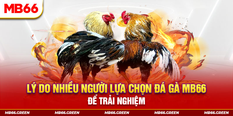 hot51 live xổ số miền bắc thứ bảy hàng tuần