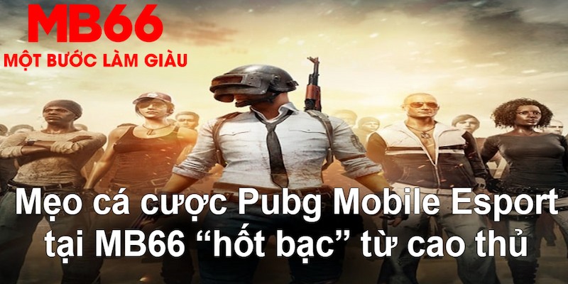 hot51 live VA Bắn cá