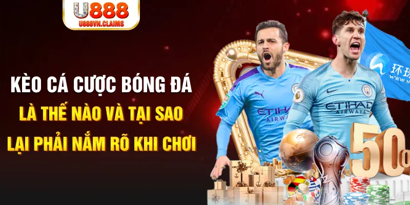 hot51 live xổ số kiến thiết