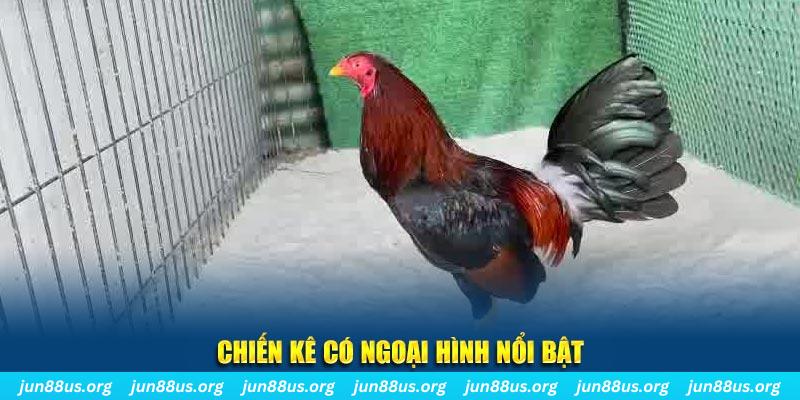 hot51 live game nổ hũ là gì