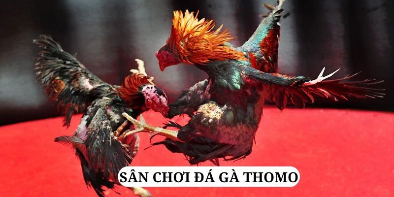 hot51 live trực tiếp xổ số miền bắc